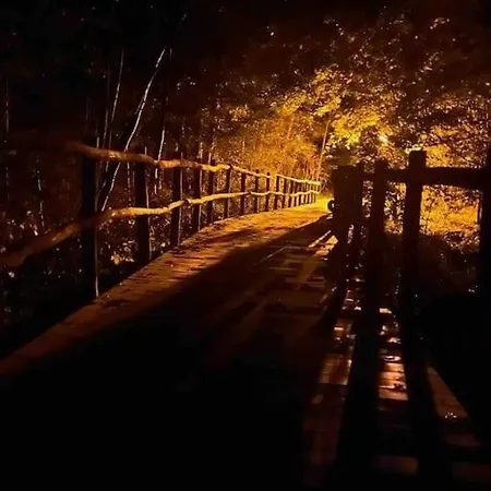 Holiday home Loft Mit Sauna Schwielowsee