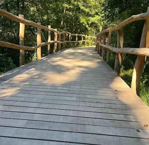 Loft Mit Sauna Semesterbostad *