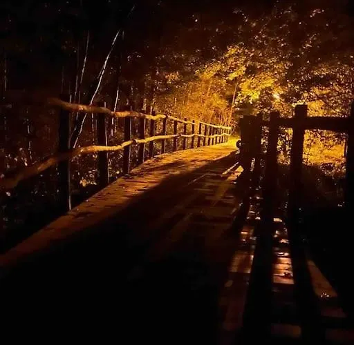 Semesterbostad Loft Mit Sauna Schwielowsee